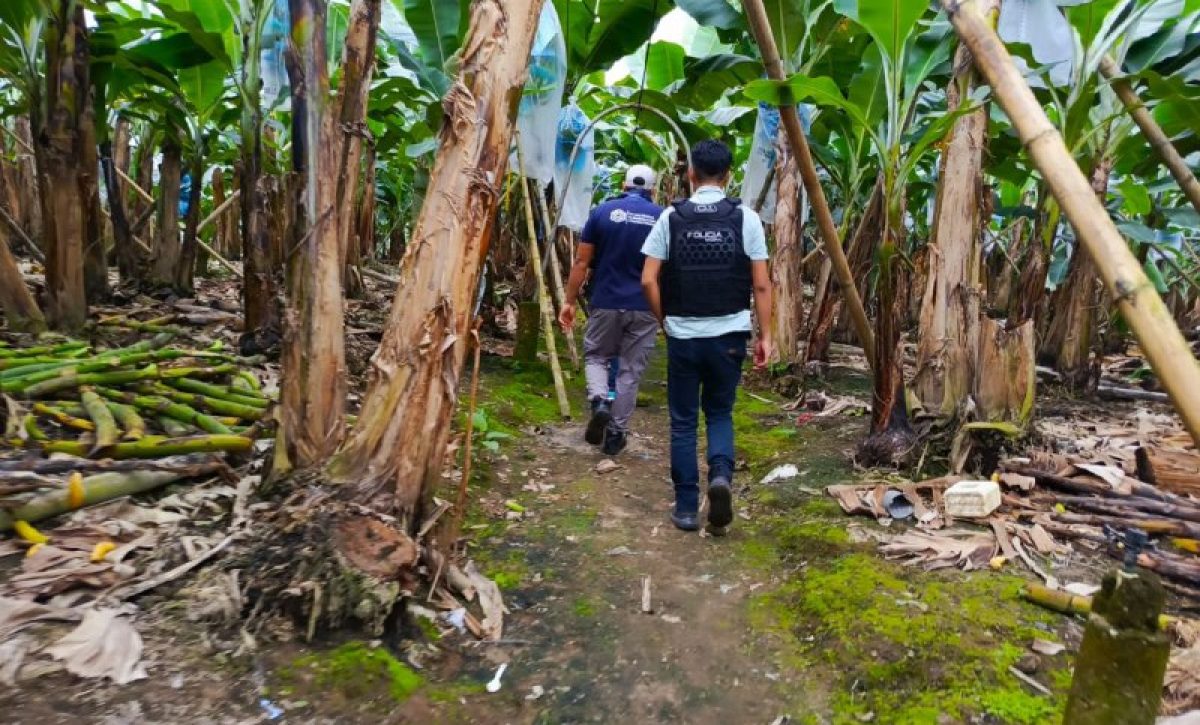 Conductor de tricimoto fue hallado maniatado y quemado en Buena Fe