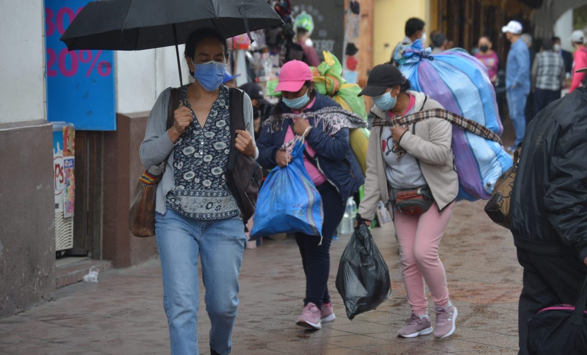 DSC_0060-scaled-1 DSC_0060-scaled-1