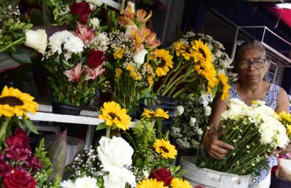 Día de los Fieles Difuntos Las flores en Portoviejo experimentan incremento en sus precios por alta demanda. (El Diario) Día de los Fieles Difuntos Las flores en Portoviejo experimentan incremento en sus precios por alta demanda. (El Diario)