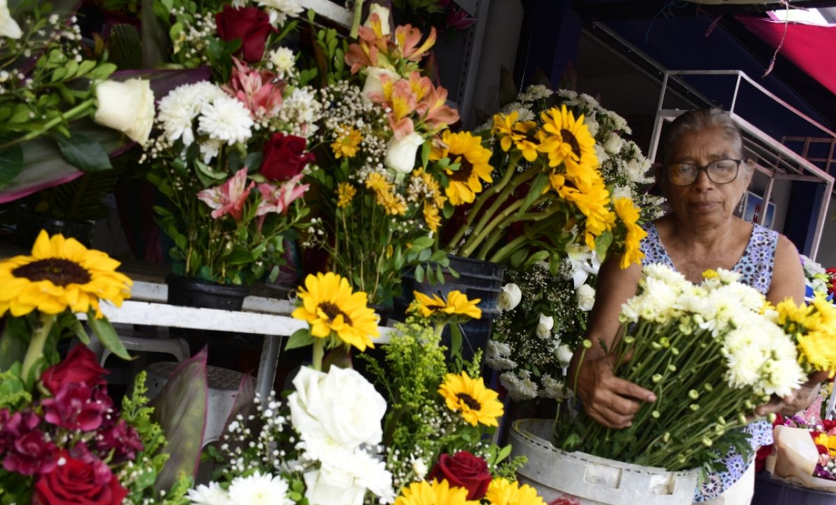 Día de los Fieles Difuntos Las flores en Portoviejo experimentan incremento en sus precios por alta demanda. (El Diario) Día de los Fieles Difuntos Las flores en Portoviejo experimentan incremento en sus precios por alta demanda. (El Diario)