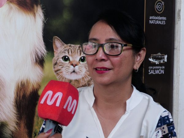 Día del Veterinario Este gremio de médicos celebra su labor y ofrece campañas gratuitas en Portoviejo. (El Diario)