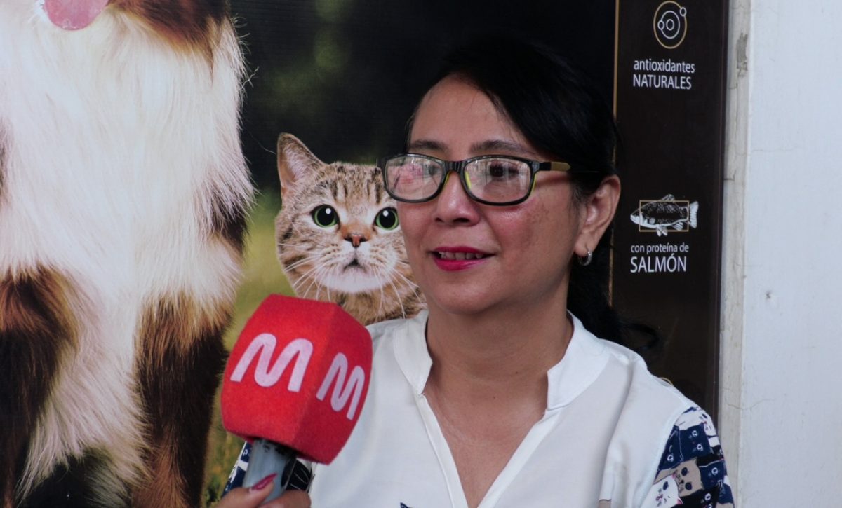 Día del Veterinario Este gremio de médicos celebra su labor y ofrece campañas gratuitas en Portoviejo. (El Diario) Día del Veterinario Este gremio de médicos celebra su labor y ofrece campañas gratuitas en Portoviejo. (El Diario)