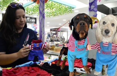 Disfraces para mascotas en Portoviejo: La tendencia de Halloween que confirma que son "parte de la familia".
