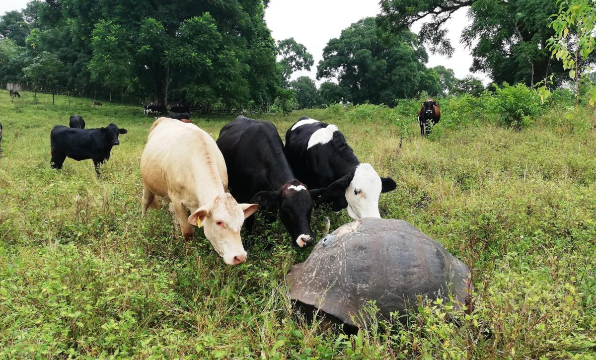 E4_YmXoXMAInPgj E4_YmXoXMAInPgj