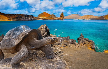 Ecuador obtiene $6 millones para proteger reservas marinas de Galápagos