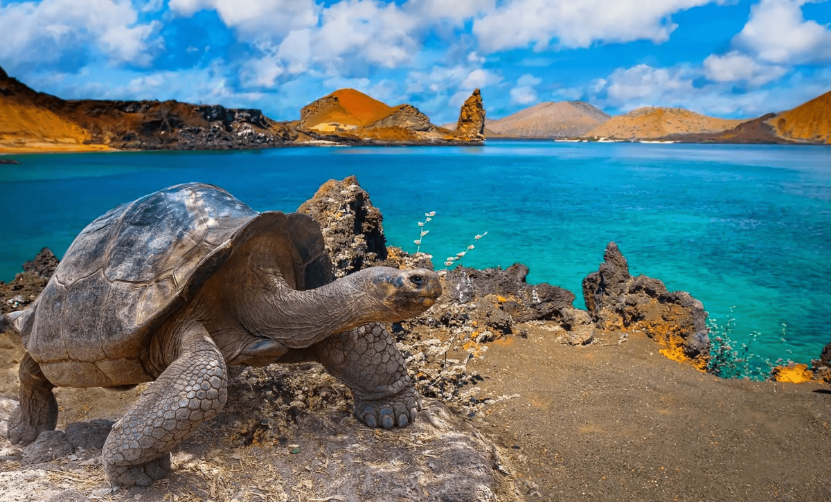 Ecuador obtiene $6 millones para proteger reservas marinas de Galápagos