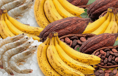 Ecuador proyecta un salto histórico en exportaciones y turismo en este 2025.