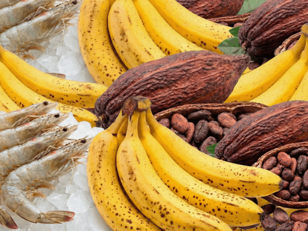 Ecuador proyecta un salto histórico en exportaciones y turismo en este 2025.