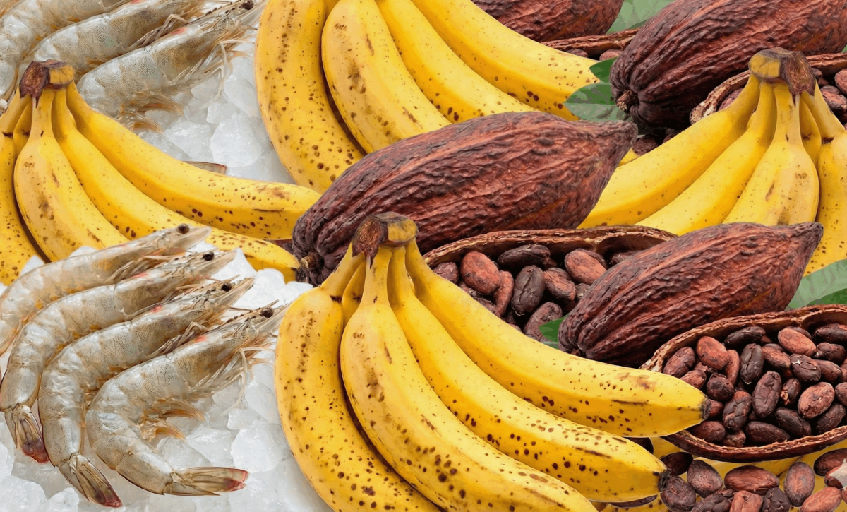 Ecuador proyecta un salto histórico en exportaciones y turismo en este 2025.