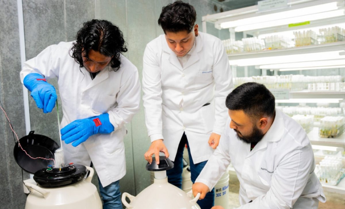 Ecuador se posiciona como uno de los bancos de diversidad agrícola más grandes de América Latina. (Ministerio de Agricultura)