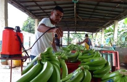 El empleo en Ecuador es impulsado por el sector privado impulsa, conozca las cifras oficiales más recientes del INEC. (Archivo-API)