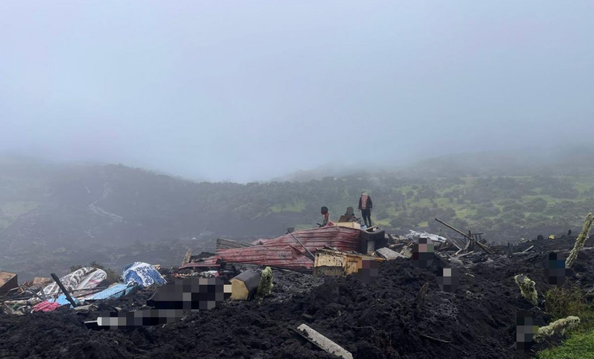 Emergencia en Napo y Orellana Deslizamientos y desbordamiento del río Coca dejan desaparecidos y graves daños materiales
