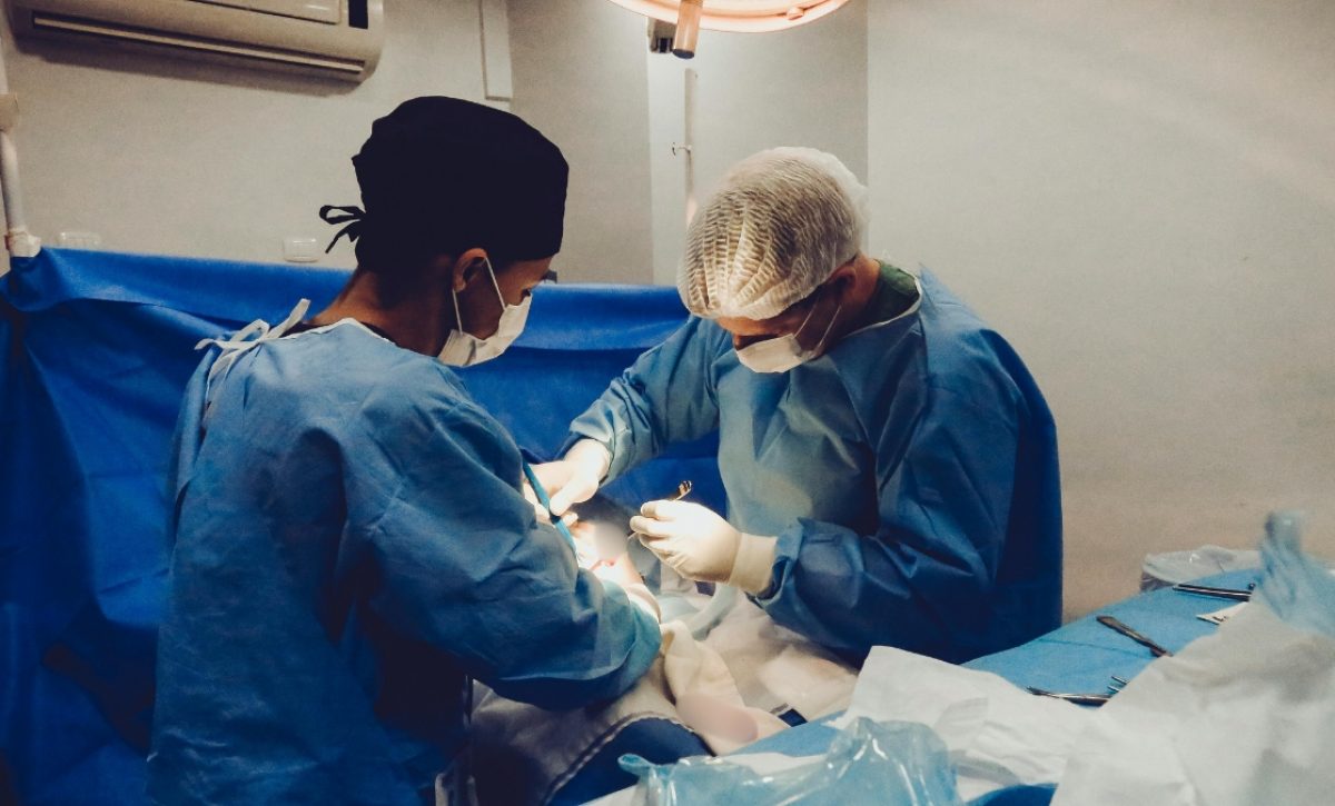 En Ecuador se realizaron 447 trasplantes de órganos en lo que va del 2025, de acuerdo al Indot. (Pexels)
