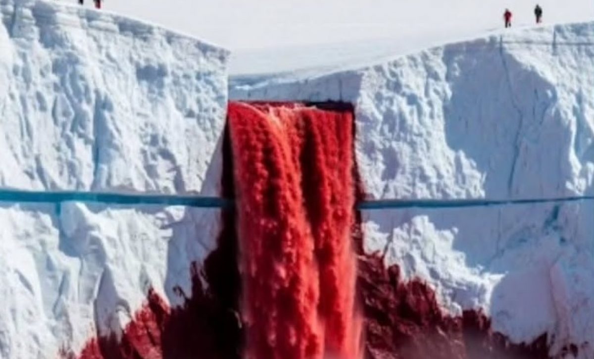 En el corazón del glaciar Taylor, en la Antártida, emerge Blood Falls, una cascada de intenso color rojizo que asemeja sangre.