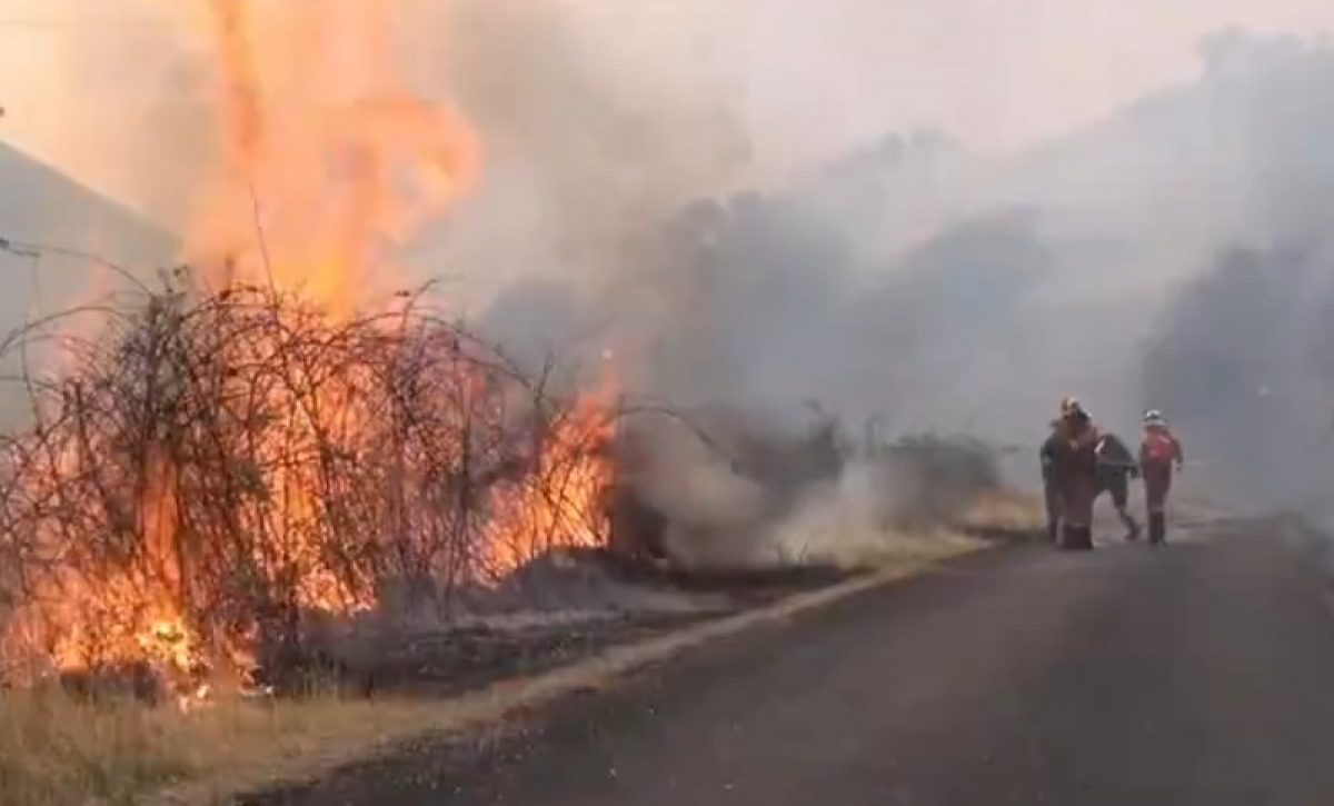 España registra la mayor devastación por incendios forestales de su historia, con más de 343 mil hectáreas consumidas, según datos oficiales.