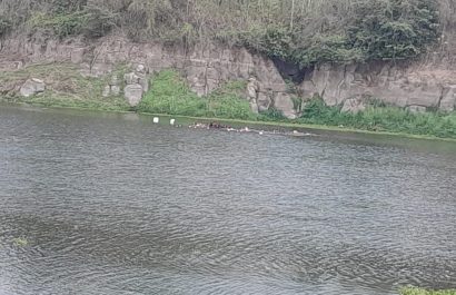 Estudiantes universitarios que llegaron a Chone, provincia de Manabí se vieron envueltos en una jornada de desesperación y de dolor.