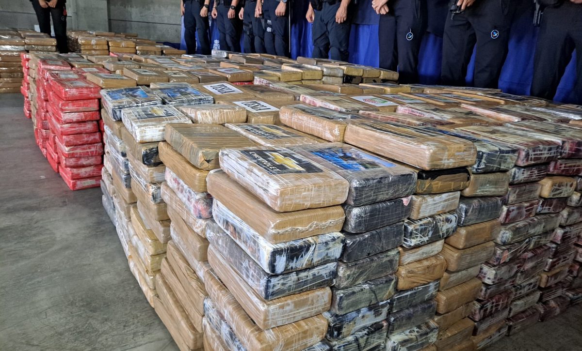 Así capturaron al jefe narco más buscado, líder de red albanesa, en la operación ‘Pampa’