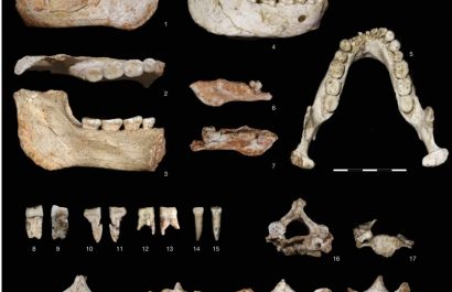 Fósiles en Casablanca refuerzan origen africano humano. FOTO: Europa Press.