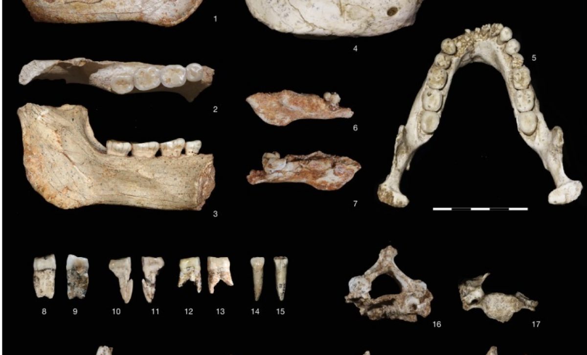 Fósiles en Casablanca refuerzan origen africano humano. FOTO: Europa Press.