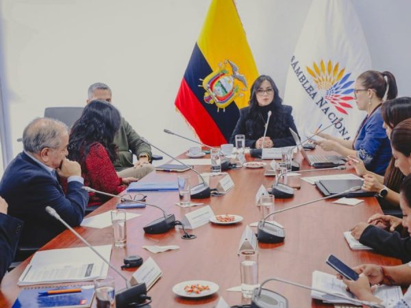 Expertos proponen fortalecer la protección de la primera infancia en proyecto de reforma al Código de Niñez y Adolescencia. (AN).