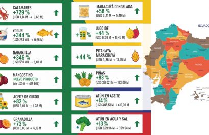 Exportaciones no tradicionales de Ecuador incrementan y llegan a nuevos mercados internacionales. (Gemini)