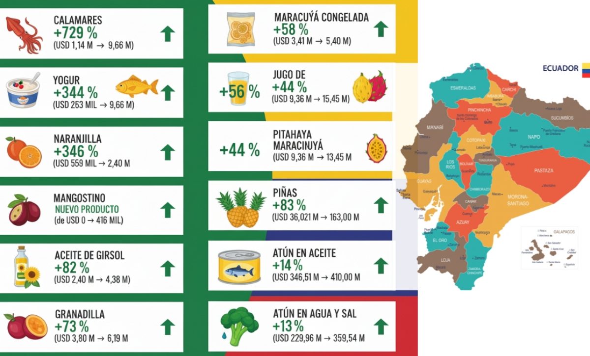 Exportaciones no tradicionales de Ecuador incrementan y llegan a nuevos mercados internacionales. (Gemini)