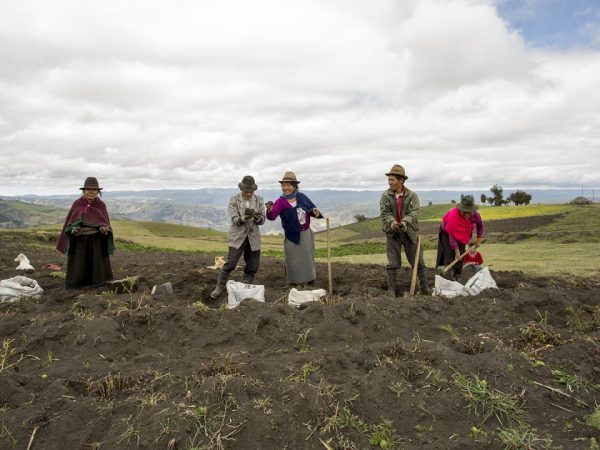 Feria Nacional del Agro destaca con la nueva edición del concurso “También soy empresario”