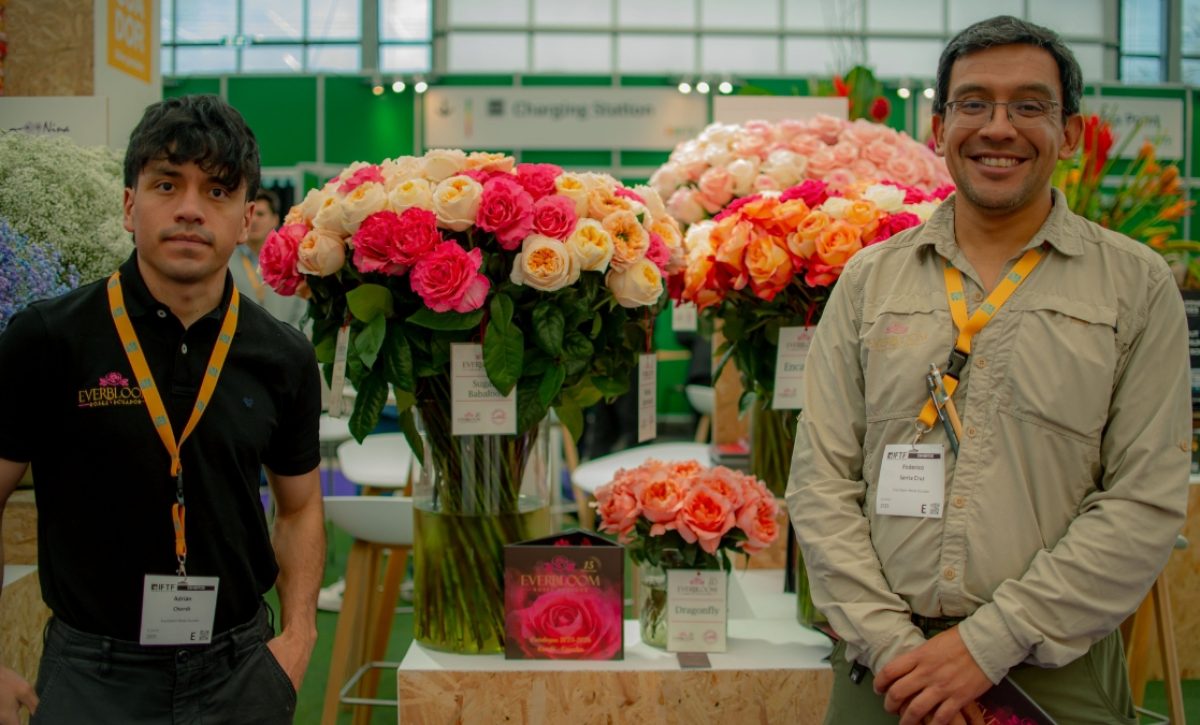 Flores de Ecuador conquistan el mercado europeo en feria internacional que se desarrolla en Países Bajos. (Pro Ecuador)