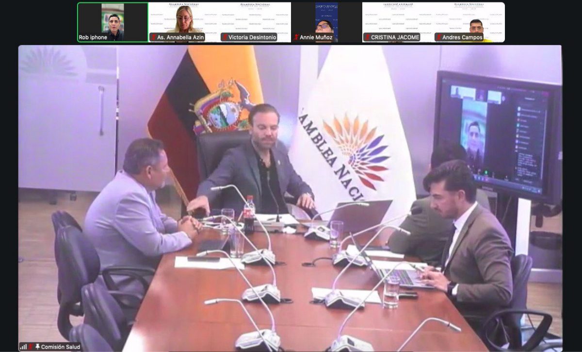 Expertos exponen criterios técnicos sobre proyecto de ley de procedimientos eutanásicos. FOTO: @AsambleaEcuador.