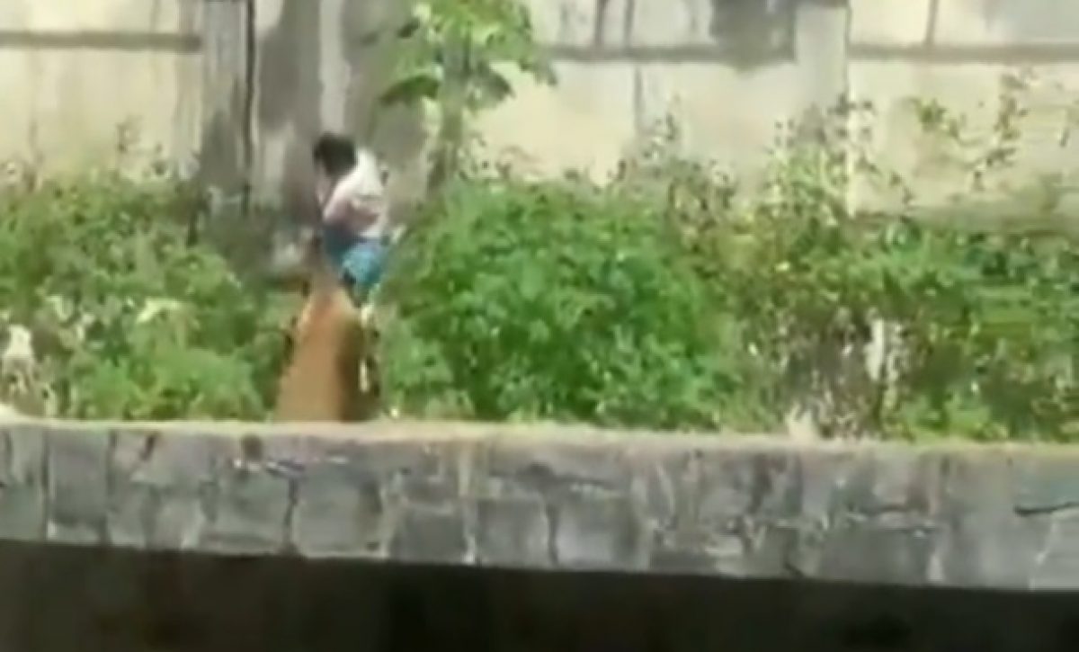 Gerson do Melo Machado, de 19 años de edad, murió tras ingresar sin autorización a la jaula de una leona en el Parque Zoobotánico Arruda Câmara,