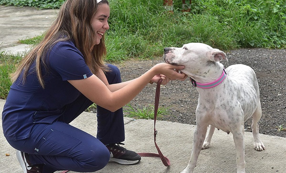 Más de 3.500 reportes ciudadanos por maltrato animal fueron atendidos en Guayaquil en el primer semestre de 2025.