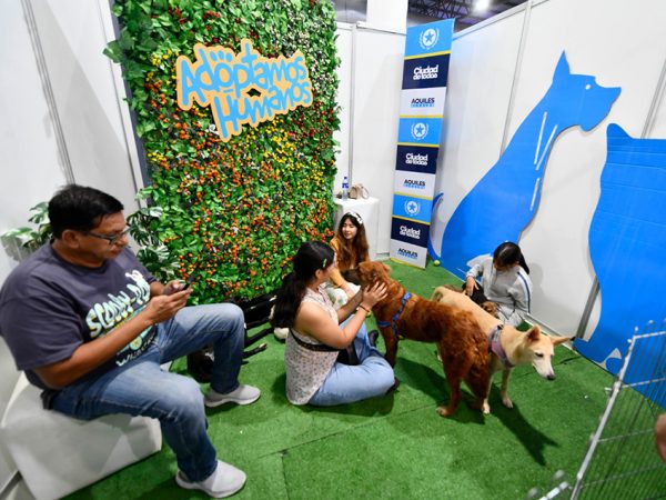 Guayaquil acogió una masiva edición de la Comic Con 2025, que combinó cultura pop, turismo, adopciones de animales.