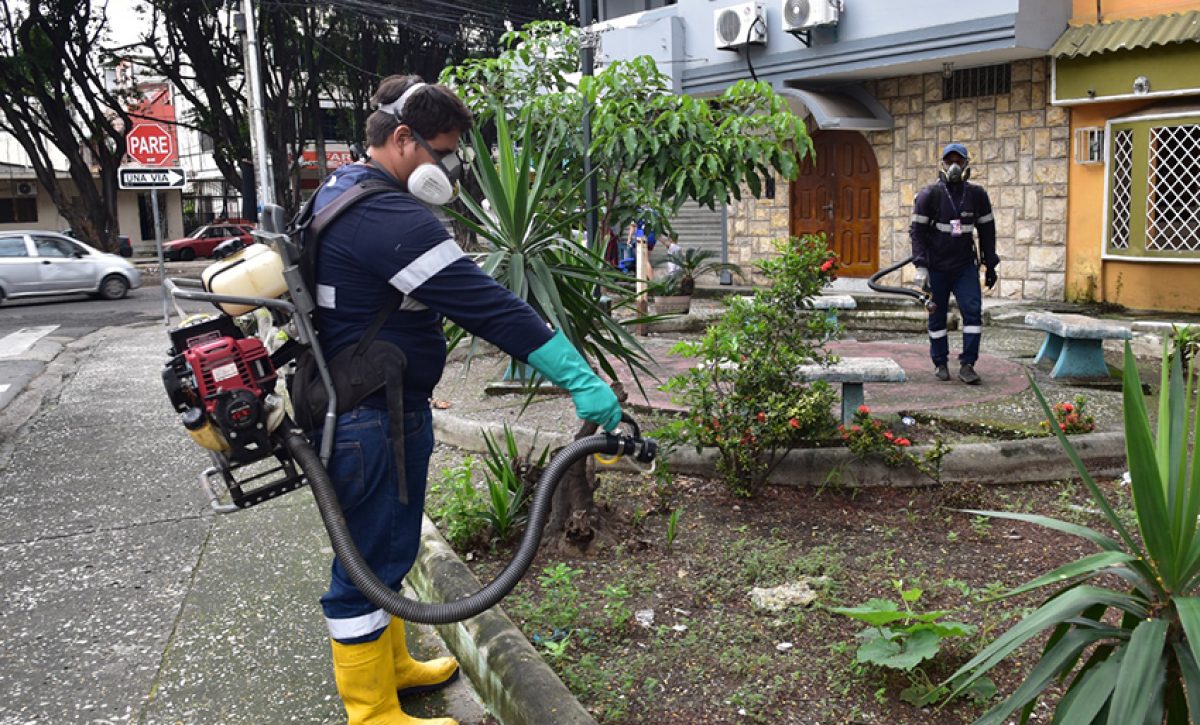 En julio, el Municipio de Guayaquil intensificó su plan contra plagas con miles de fumigaciones y desratizaciones.