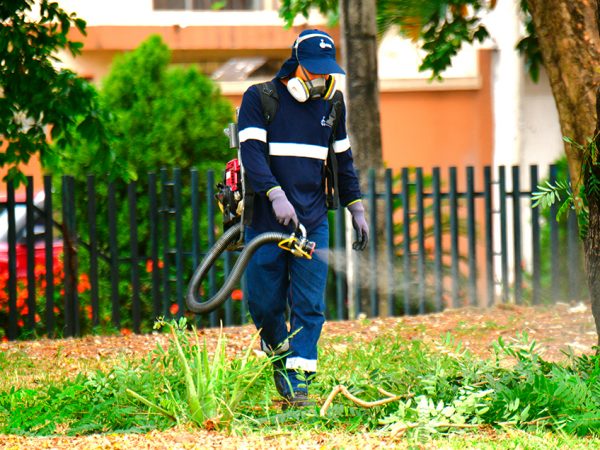 La Alcaldía de Guayaquil ejecutó una jornada de fumigación, desratización y limpieza en La Alborada.