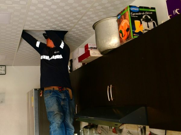 Guayaquil refuerza su plan de desratización con operativos diarios en zonas críticas para prevenir enfermedades.