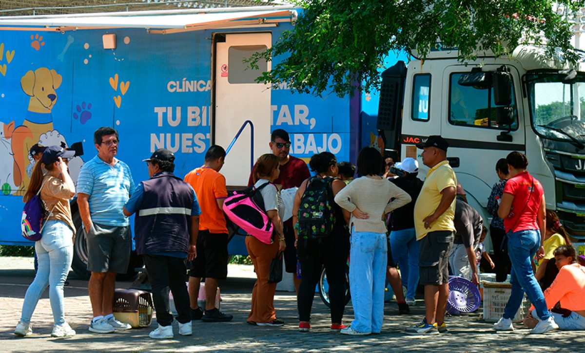 Durante los primeros cinco meses del año, Guayaquil ofreció más de 116.000 atenciones médicas gratuitas a perros y gatos.