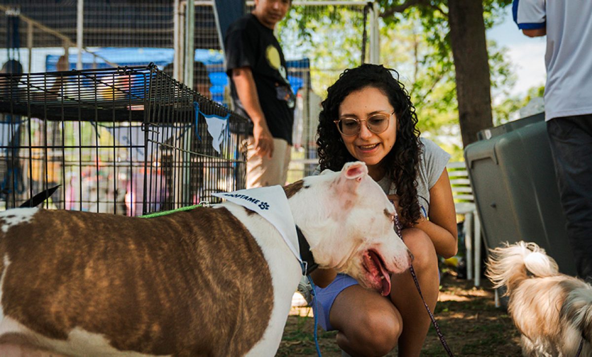 El Municipio de Guayaquil ejecuta una campaña de adopción de animales con beneficios gratuitos permanentes.