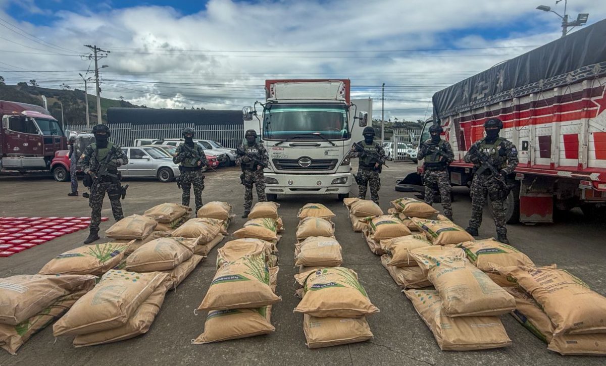 Hombre es detenido con precusores químicos en Tulcán.