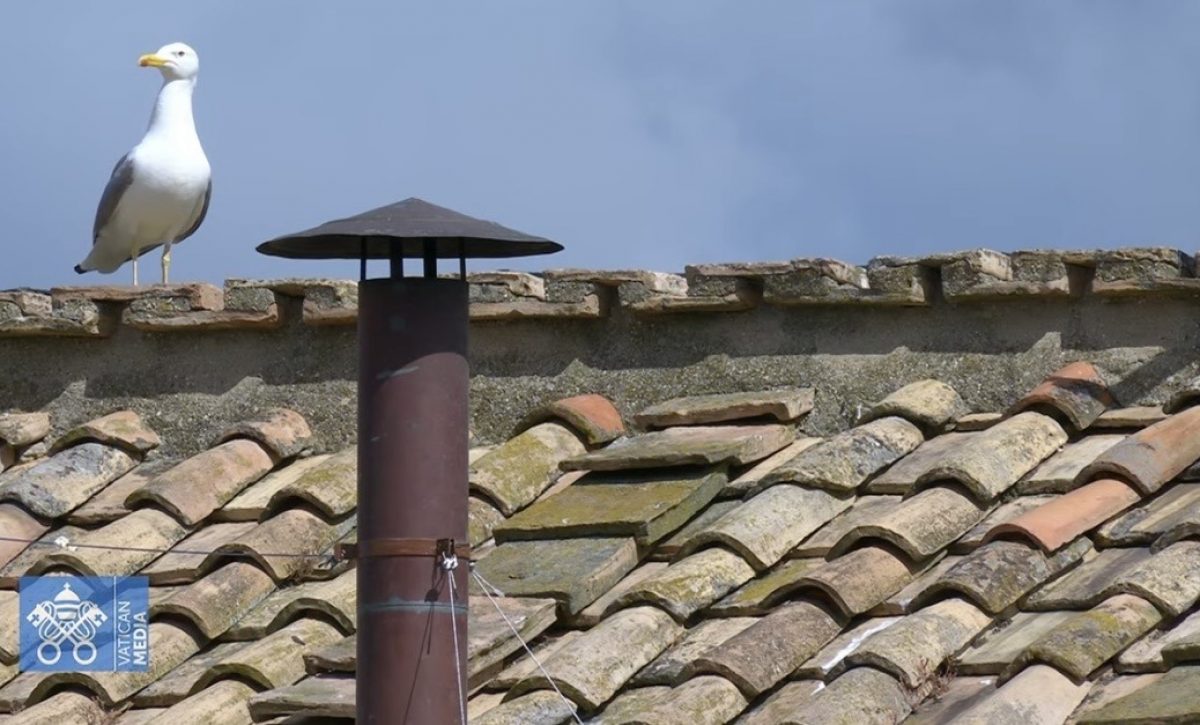 Inicia la segunda jornada de votaciones en el cónclave para la elección del nuevo papa, el acto se desarrolla en la capilla Sixtina. (Captura de pantalla).