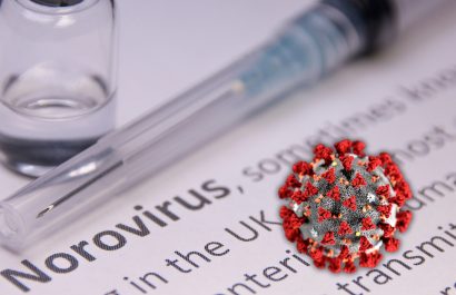 Identifican la nueva variante de norovirus responsable del aumento de brotes de gastroenteritis en todo el mundo
