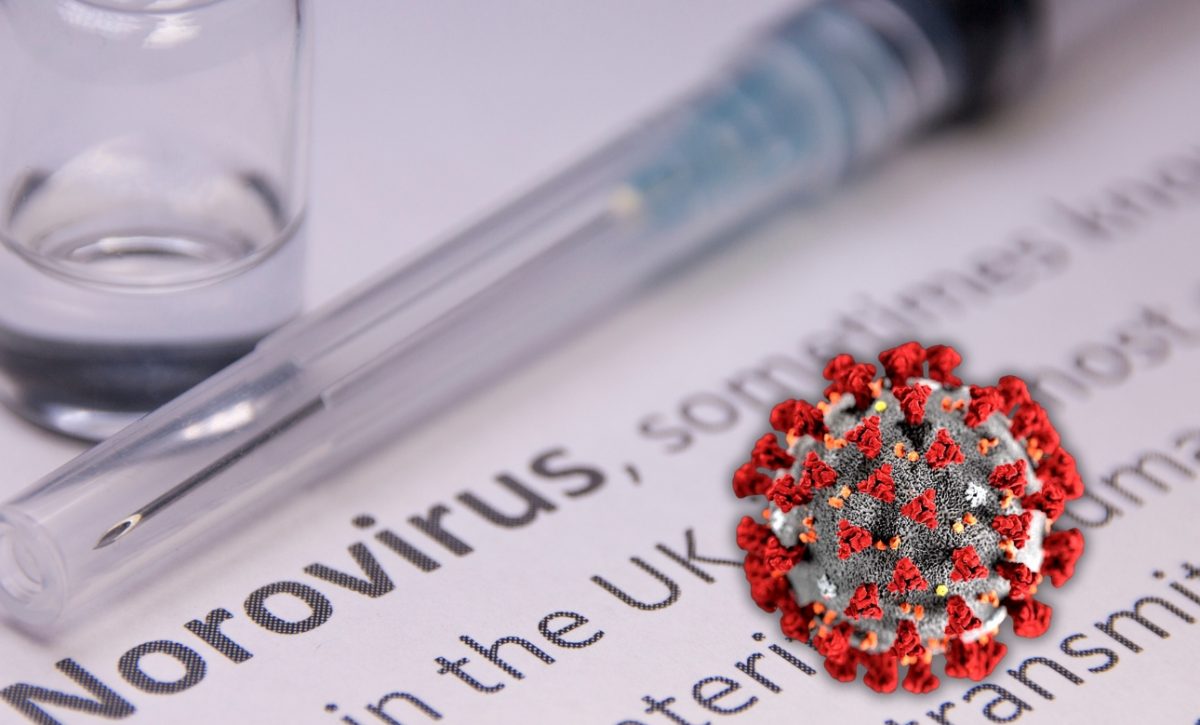 Identifican la nueva variante de norovirus responsable del aumento de brotes de gastroenteritis en todo el mundo