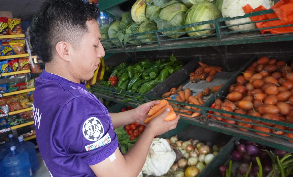 Incrementa precio de la zanahoria amarilla en Santo Domingo pese a tendencia nacional a la baja