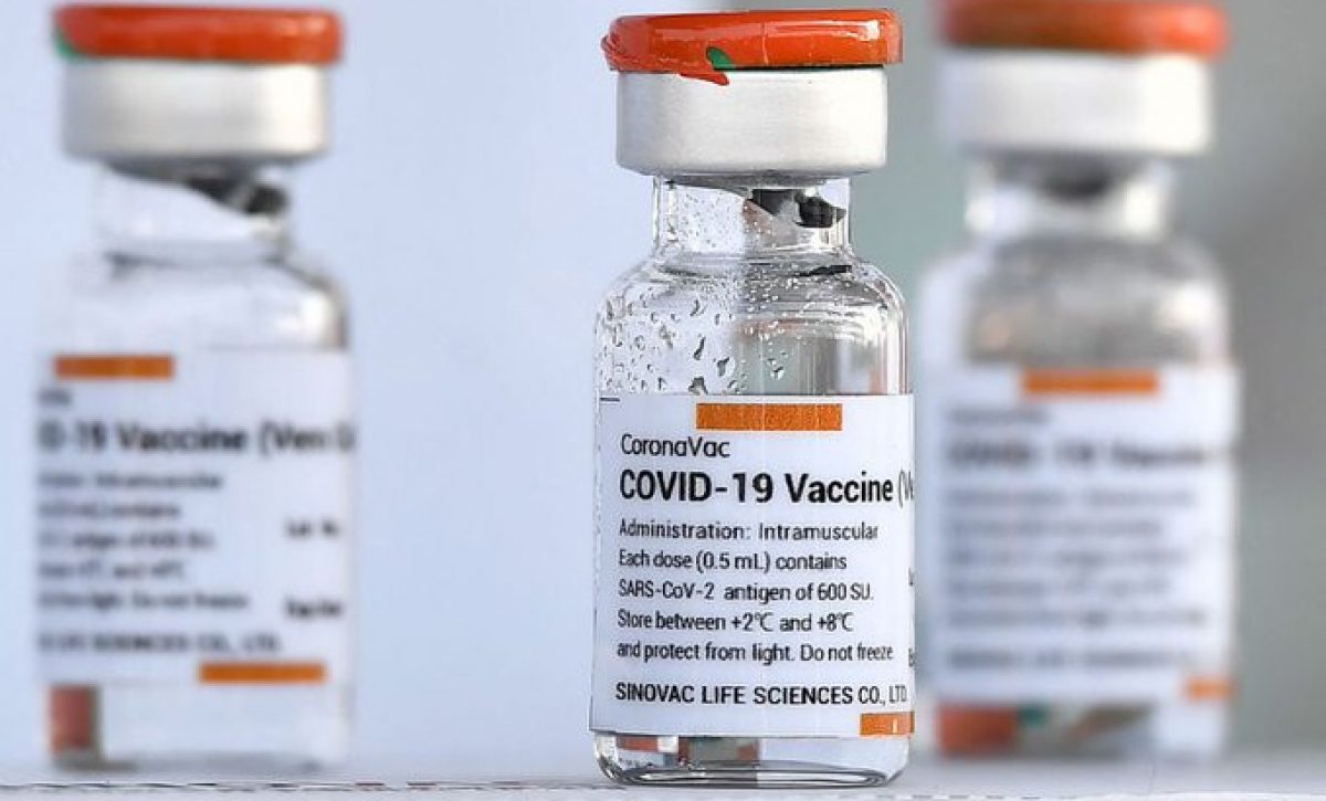 L_130445_sinovac004 L_130445_sinovac004