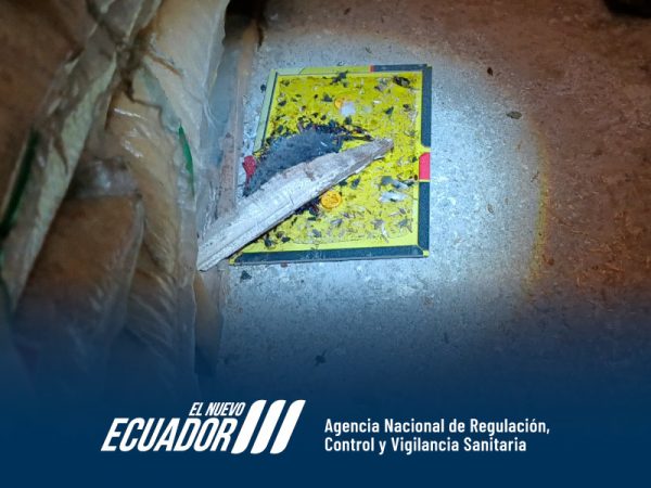 La Arcsa clausura una envasadora de alimentos en Cuenca por supuesta insalubridad y presencia de plagas