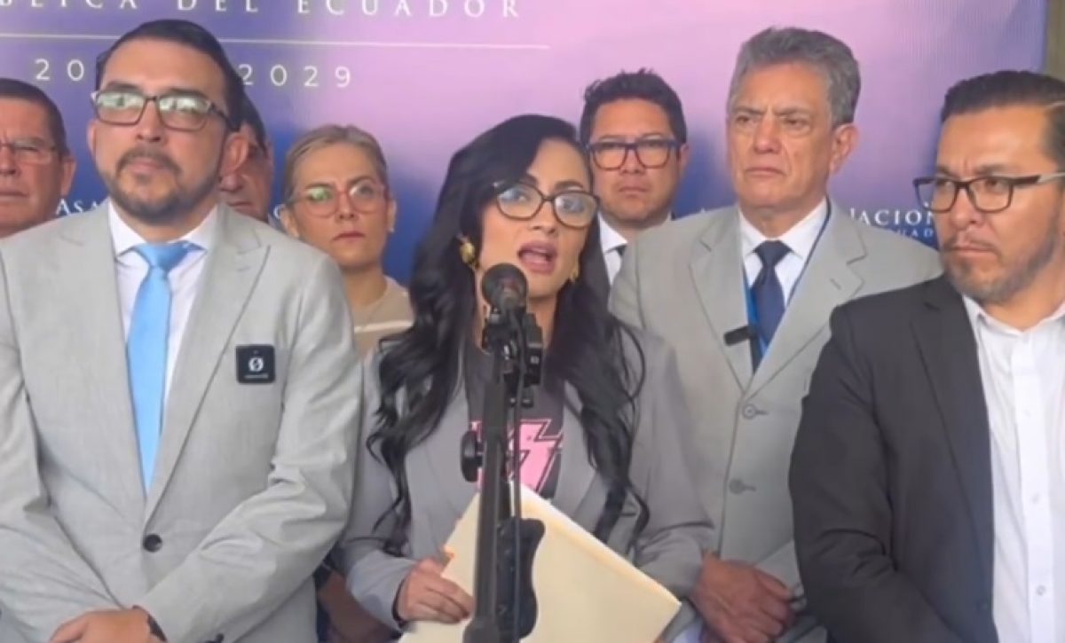 La asambleísta Viviana Veloz, de la RC, lideró el reclamo sobre el caso HealthBird. FOTO: Captura de pantalla.