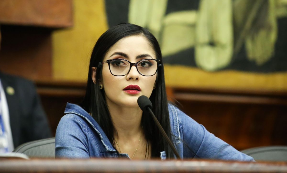 La asambleísta Viviana Veloz de la bancada Revolución Ciudadana. FOTO: @VivianaVelozEc.