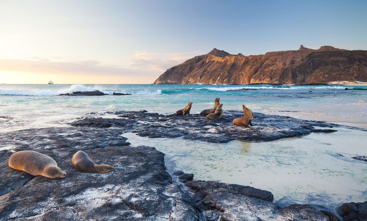 Las Islas Galápagos combinan conservación y economía azul para un futuro sostenible