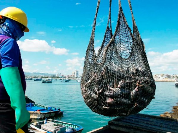 Empresas del sector atunero en Manta incorporan tecnología digital para mejorar el control de calidad y fortalecer la competitividad internacional.