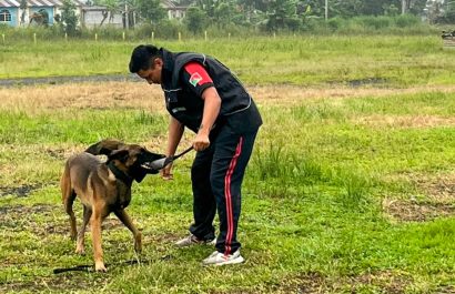 municipio-y-bomberos-capacitan-a-personal-sobre-control-de-perros-peligrosos