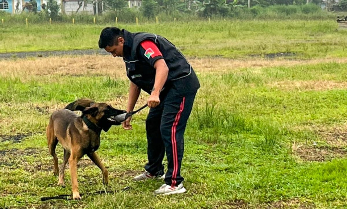 municipio-y-bomberos-capacitan-a-personal-sobre-control-de-perros-peligrosos